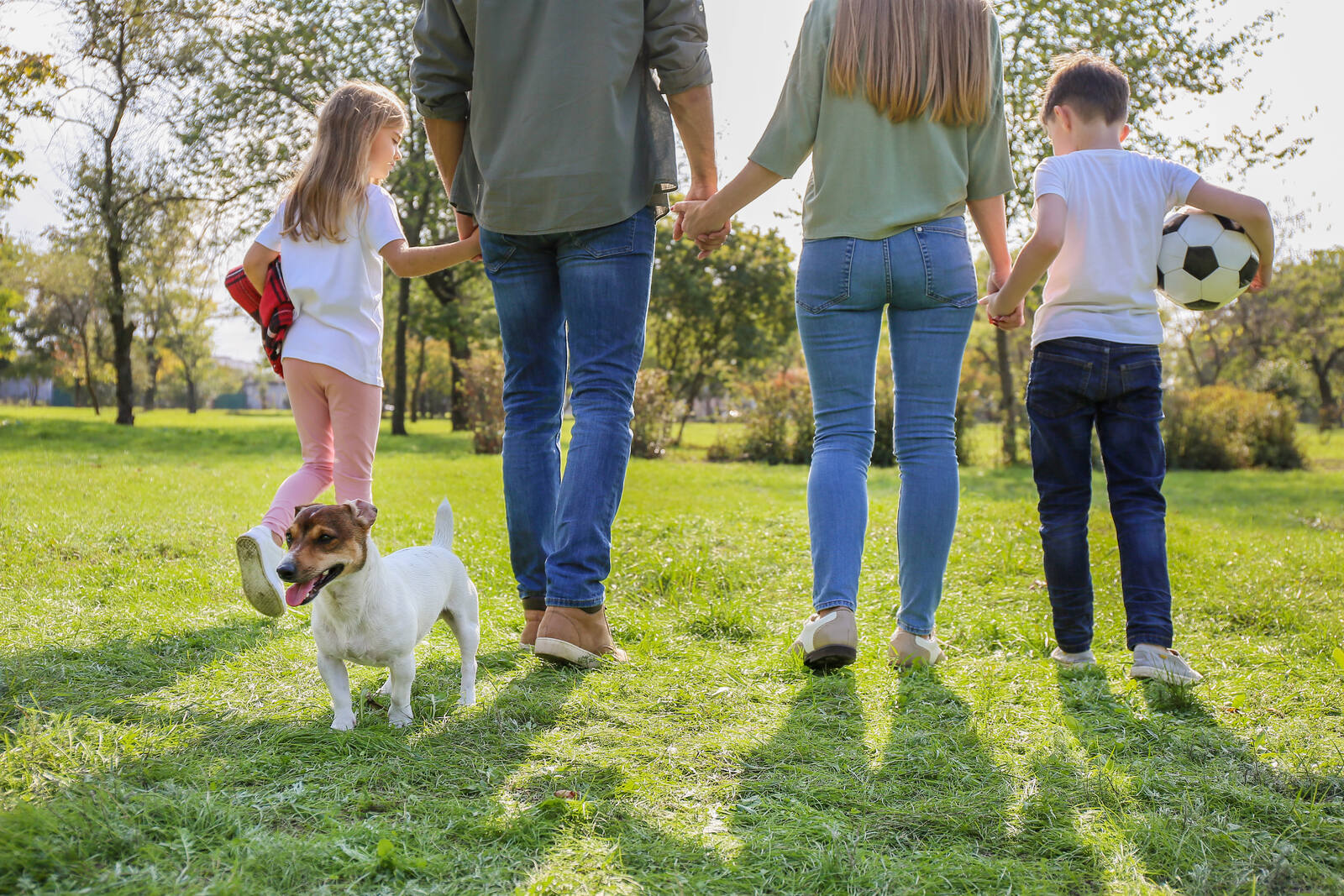 Family of four walking hand in hand through a park with their dog